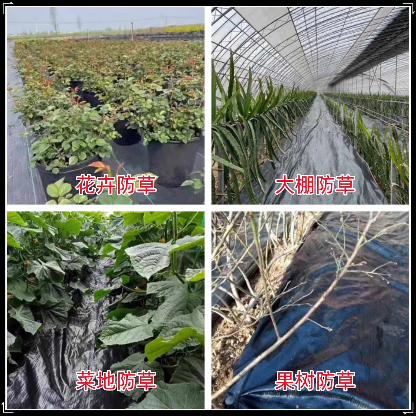 威海市地膜防草布 - 一站式服务