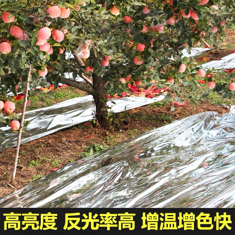 威海市货车苫盖膜果树反光膜 - 方案
